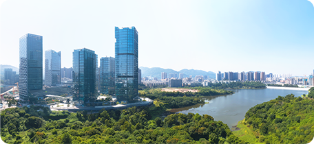 佰福国际