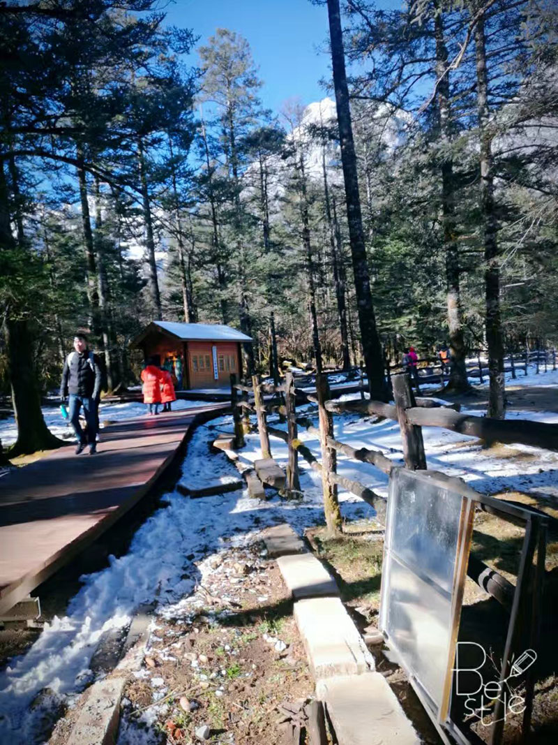 佰福国际