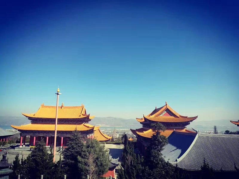 佰福国际