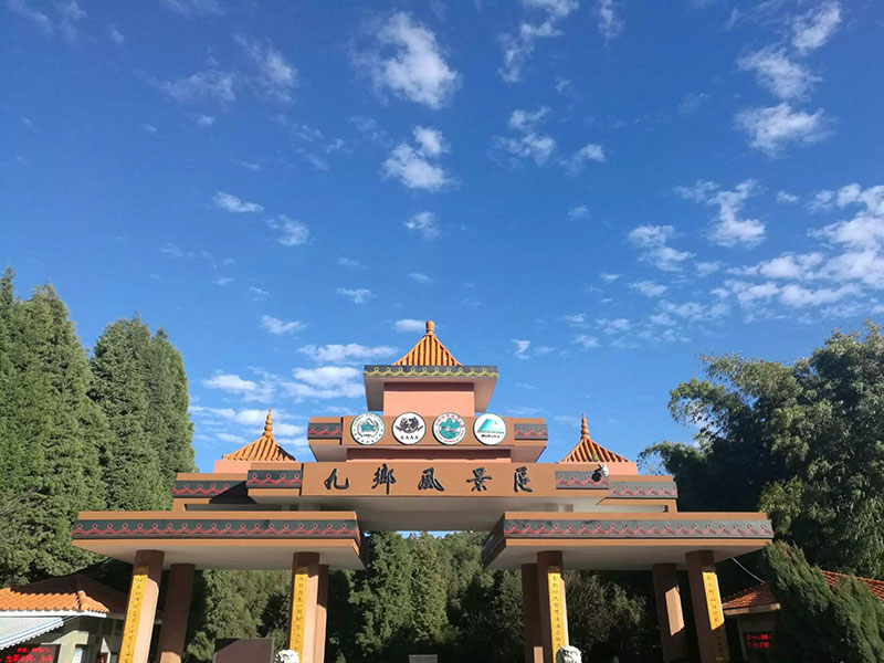 佰福国际