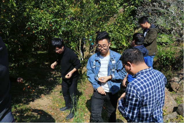 佰福国际(中国游)官方网站