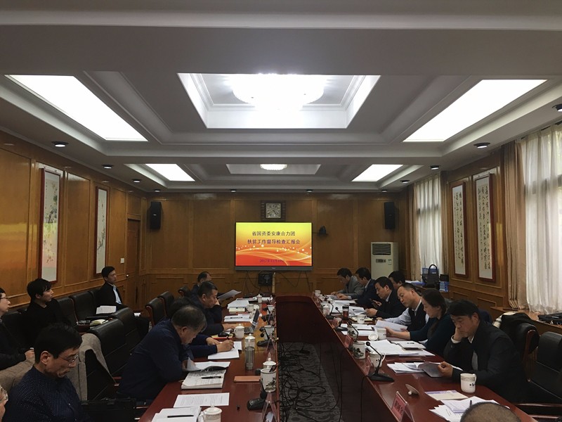 陕西公海彩船6600集团参与省国资委安康合力团扶贫工作督导查抄汇报会 陕西公海彩船6600集团参与省国资委安康合力团扶贫工作督导查抄汇报会